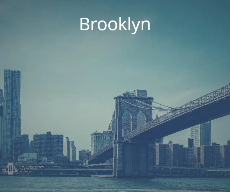 brooklyn immigration dna test