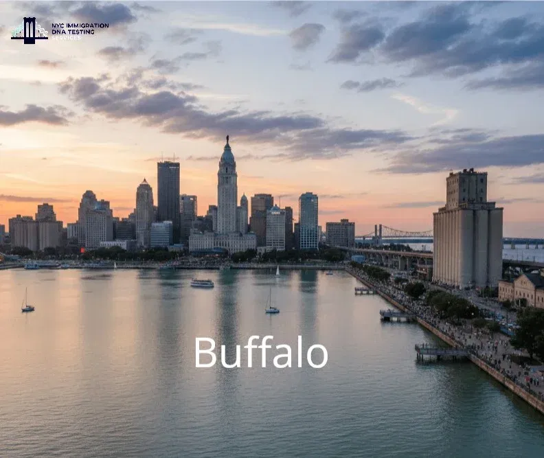 buffalo dna test